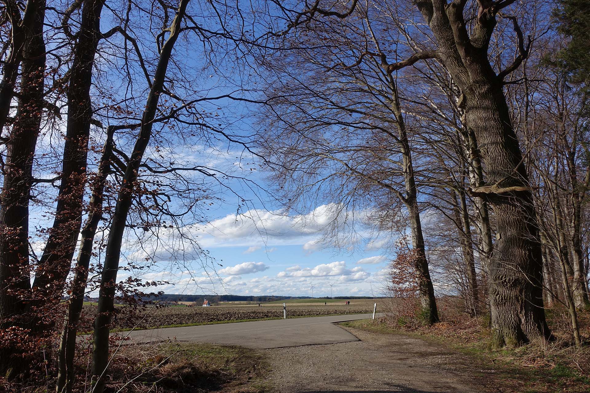 Startpunkt für den Walderlebnispfad im Höglwald